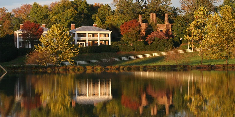 Views at Barboursville Vineyards