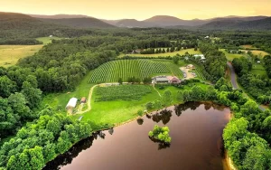 Scenic Views of Glass House Winery
