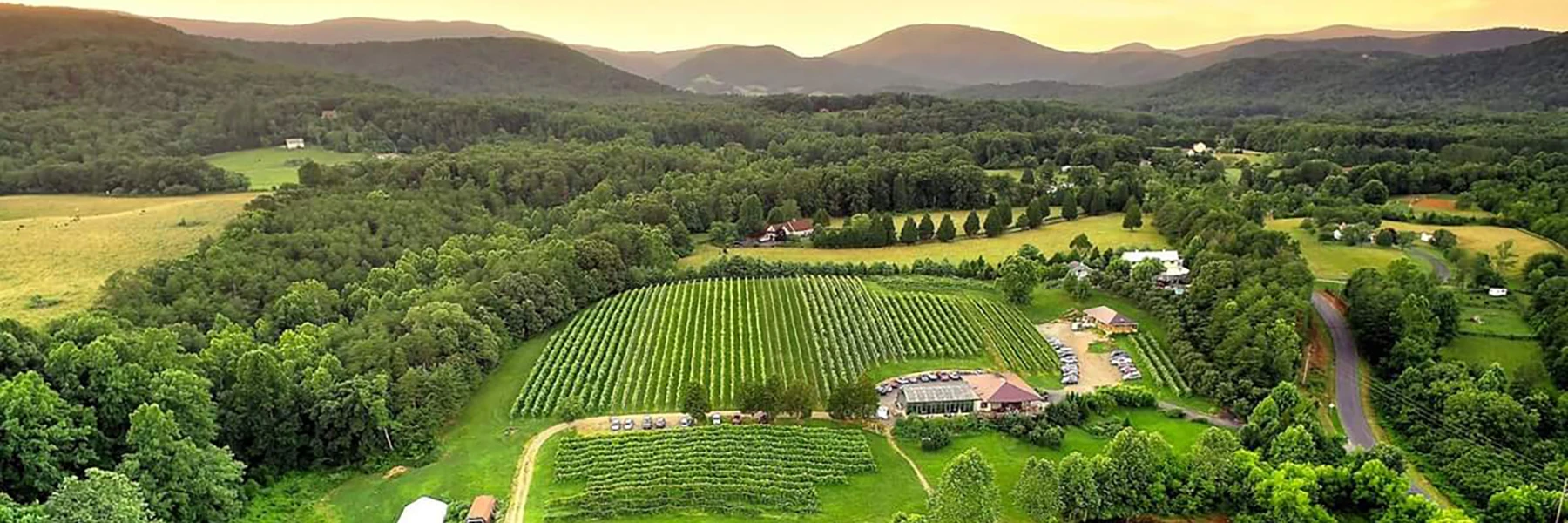 View of Glass House Winery