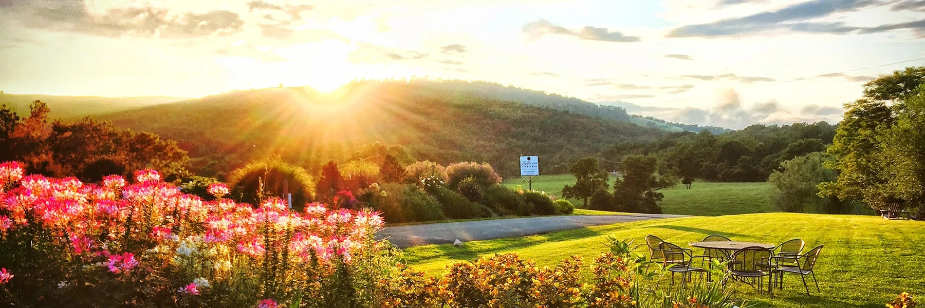 Views of Jefferson Vineyards