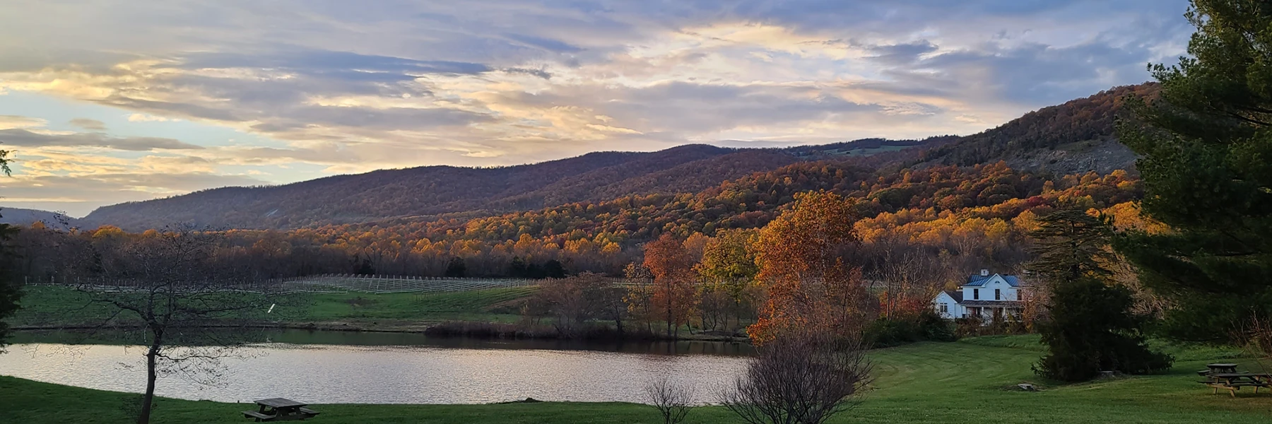 views at pollak vineyards